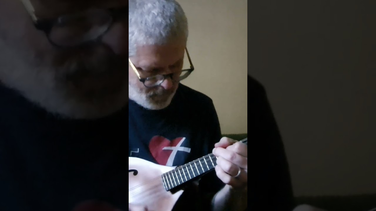 Moonglow #mandolin #chordsolo #jazz #jazzmusic #mandolinchordmelody