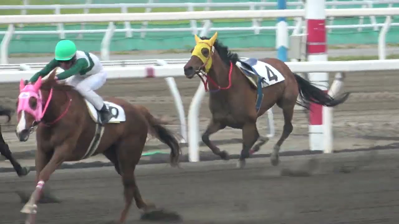 【放馬】 放馬→ゴール後一人で帰るも厩務員へアタック!! 現地映像
