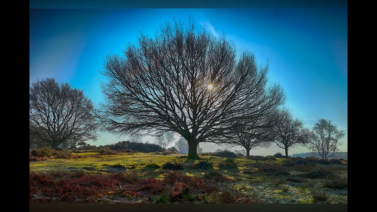 CANNOCK CHASE -  CHASE VISTA