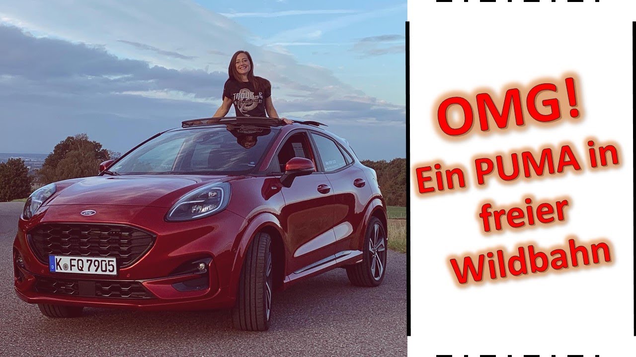 OMG ! Ein Puma in freier Wildbahn! Ich zeige euch den neuen FORD Puma!