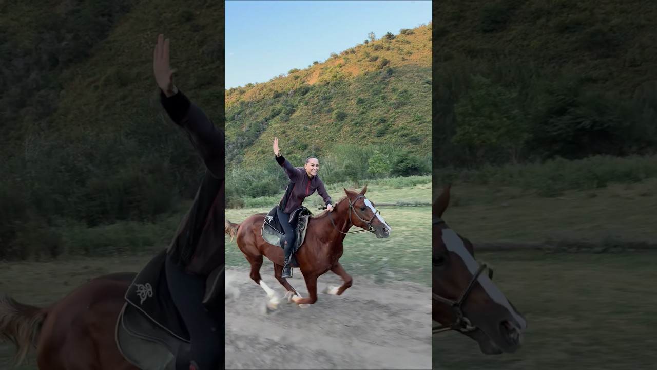 Turkish horse rider | the horse lovers club #horse #inspiration #shorts