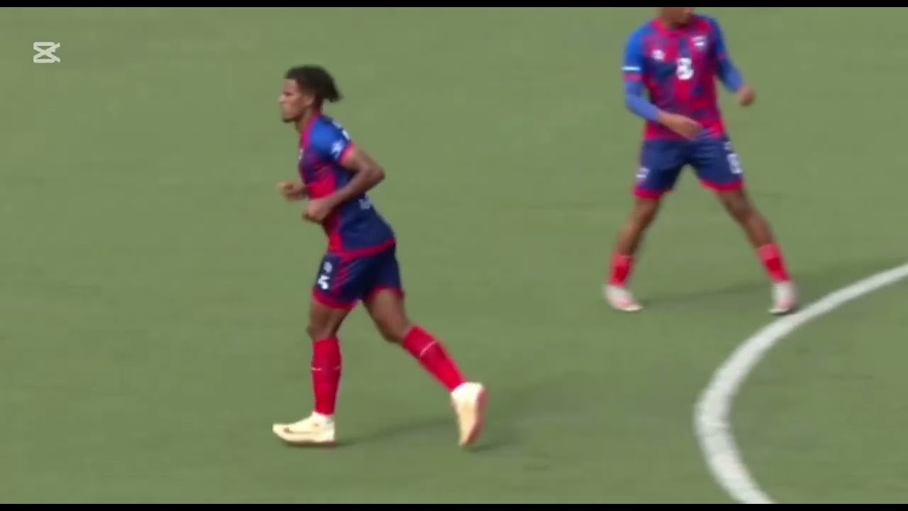 Rafael Vieira best defensive skills 2025