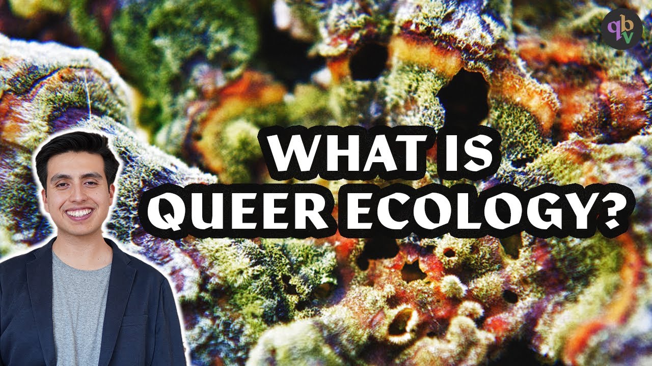 Queer ecology explained