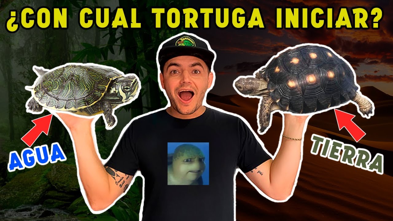 MI PRIMERA TORTUGA