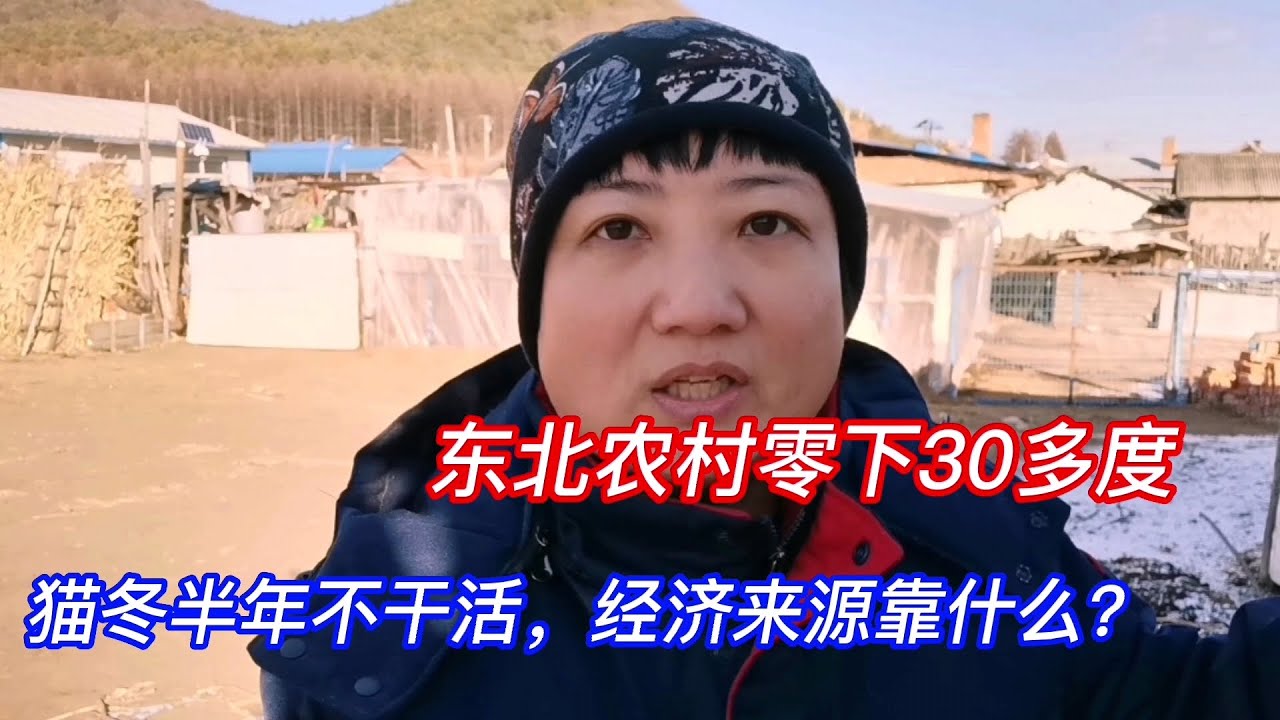 东北农村零下30多度，猫冬不干活，收入来源靠什么？