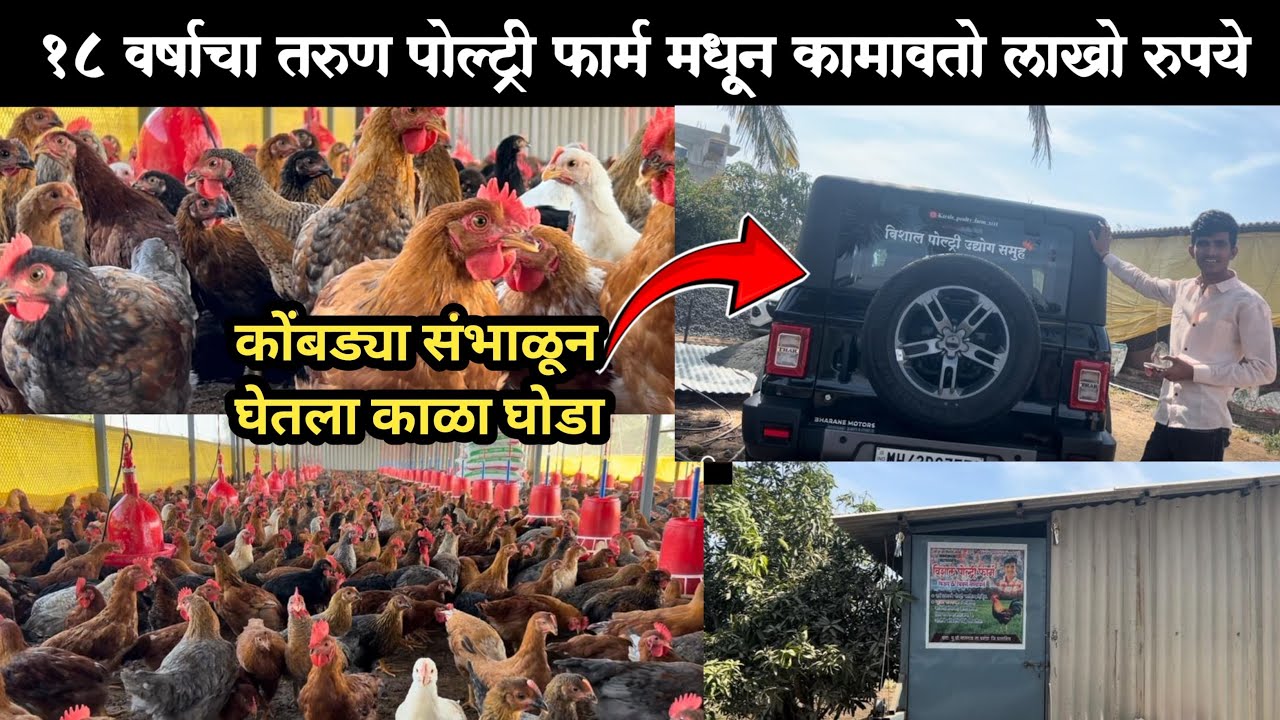फक्त १८ वर्षाचा तरुण पोल्ट्री फार्म मधून कमावतो लाखो रुपये #poultryfarming 