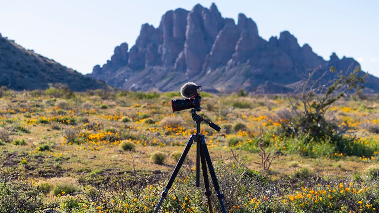 LANDSCAPE PHOTOGRAPHY WITH THE CANON EOS RP: Desert Superblooms In New Mexico