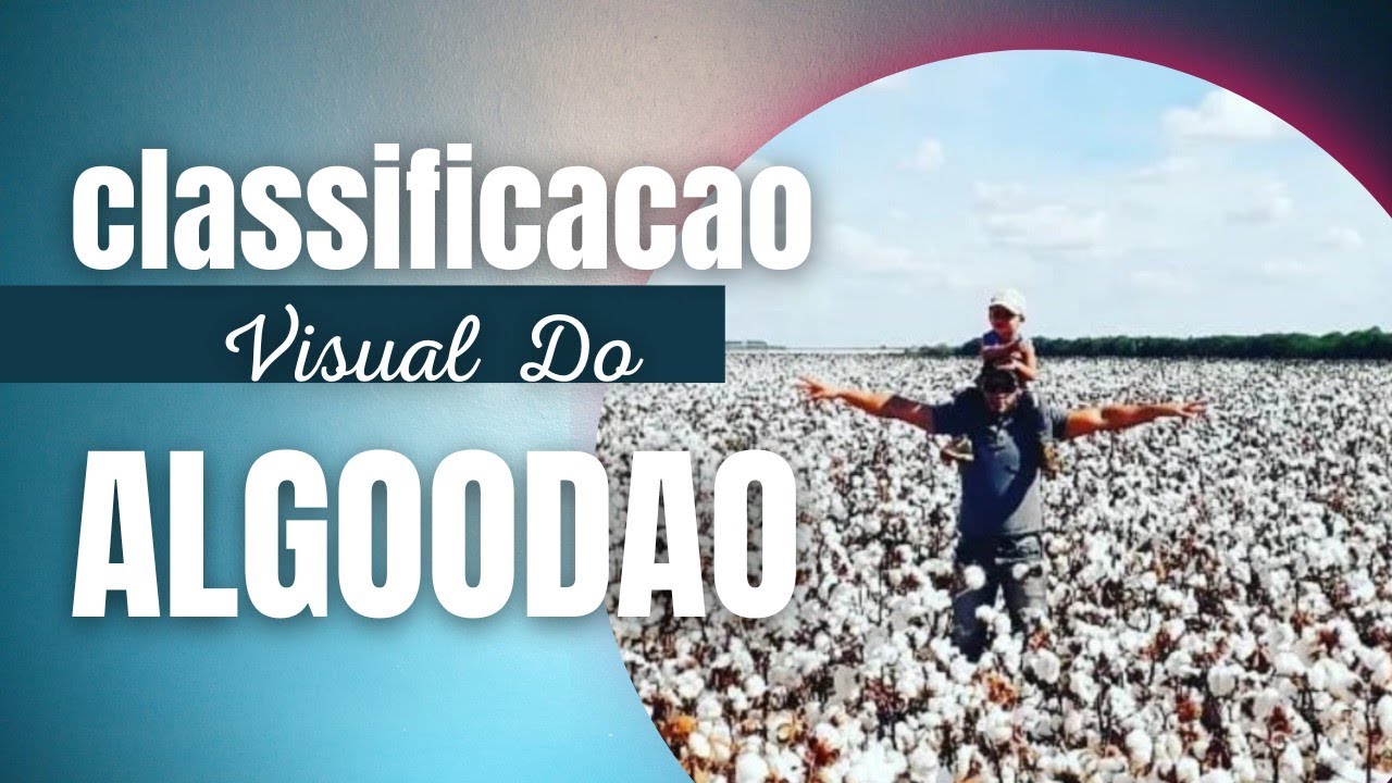 COMO SABER O TIPO DO ALGODÃO CLASSIFICADO
