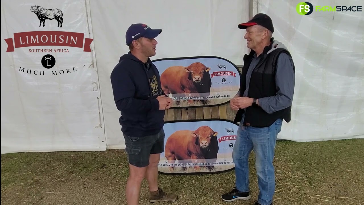 Tinus spoke to John at Bloem Show, who has thirty years experience in breeding with Limousins.
