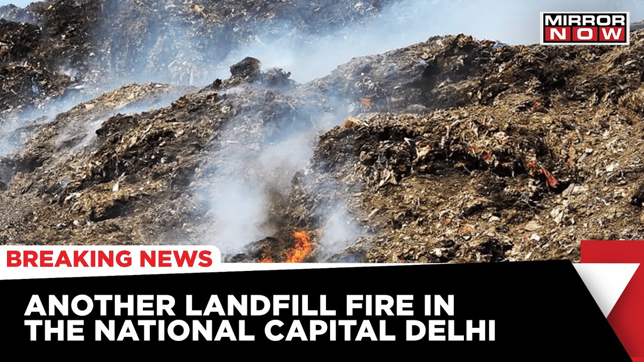 Delhi Fire Outbreak: Fire At Bhalaswa Khata, 10 Fire Tenders Rushed To The Spot | Breaking News