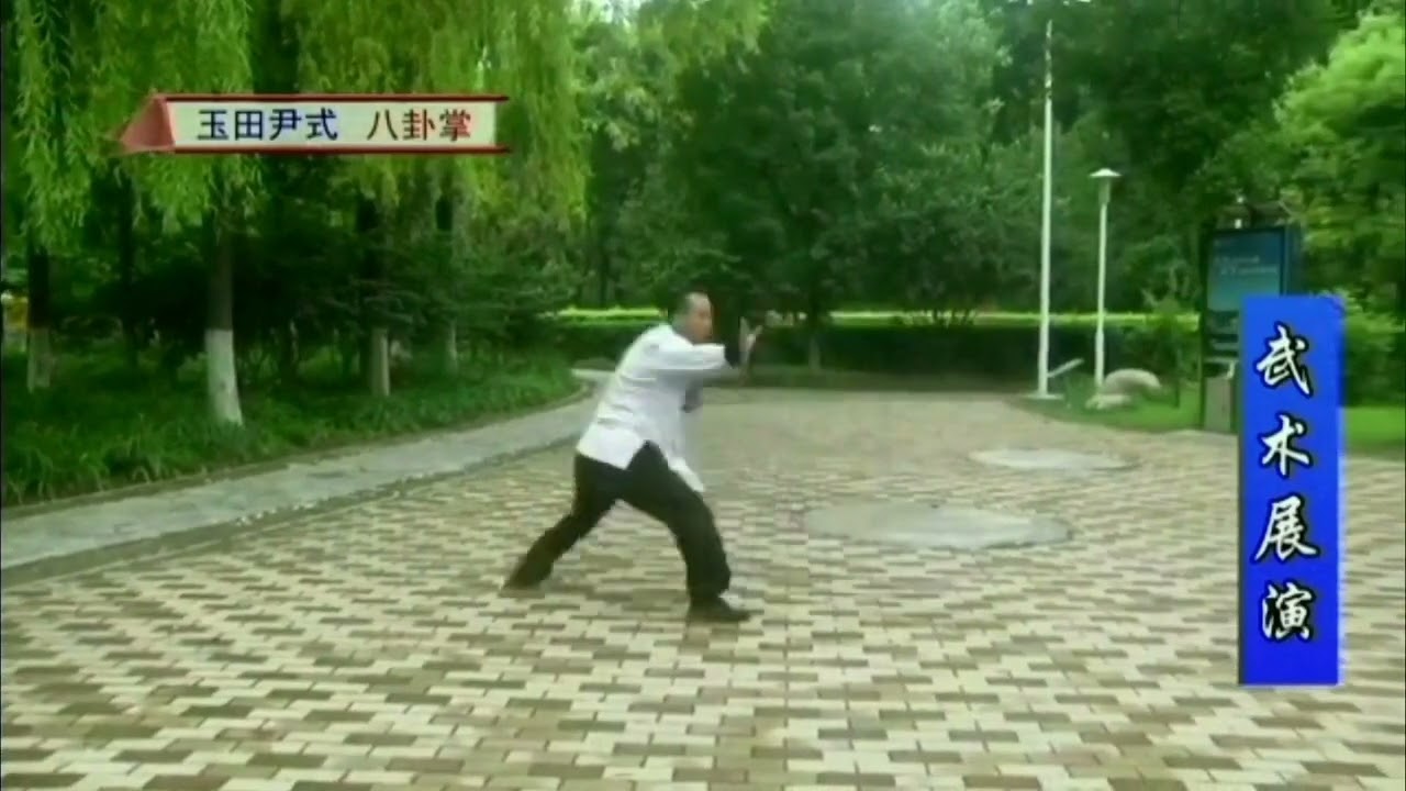 Yin Style Bagua Zhang - Dai Ling Zhang 尹式八卦掌 帶領掌  Yu Fushan 郁富山