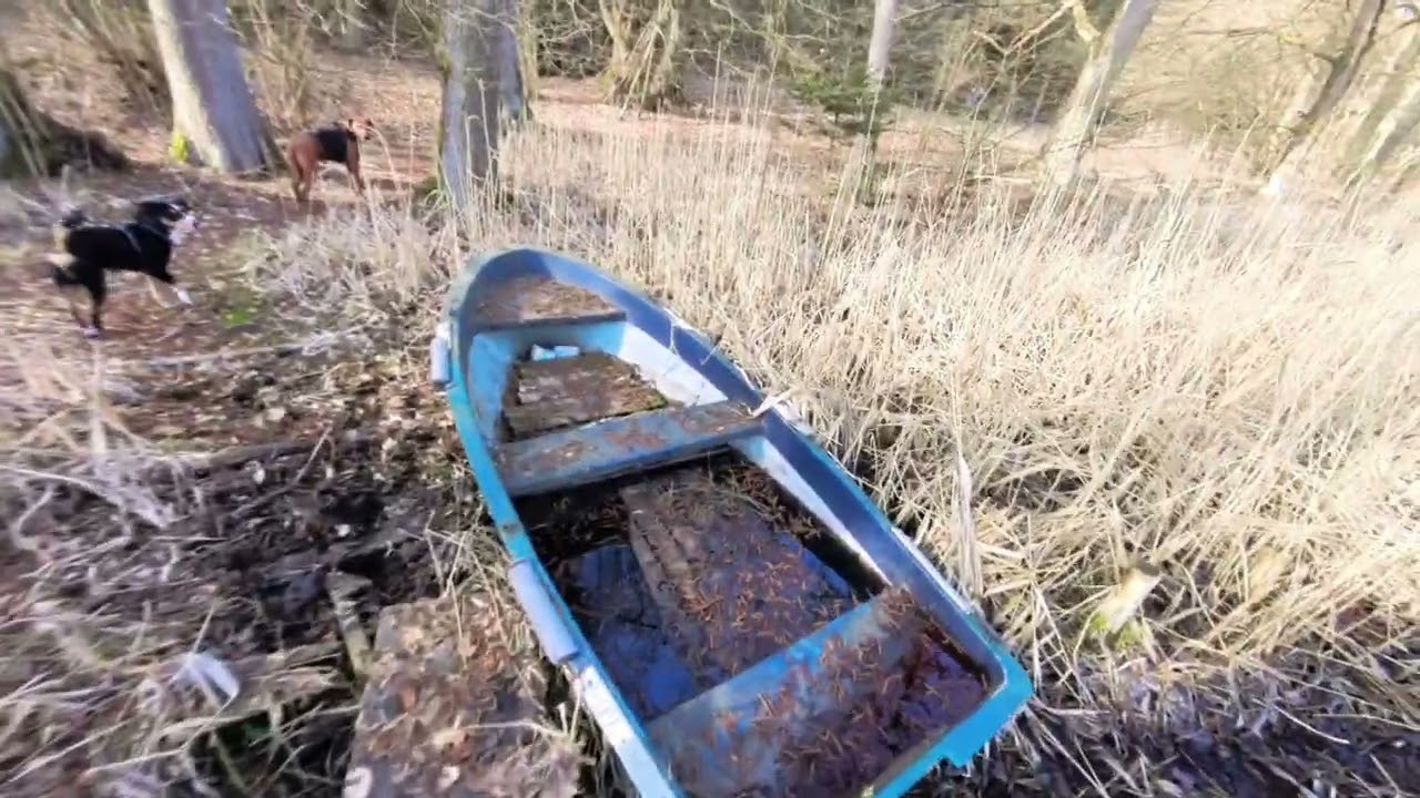 Wandern mit Hund Berlin/Brandenburg ( Melchow bis Buxpfuhl Anglersee)