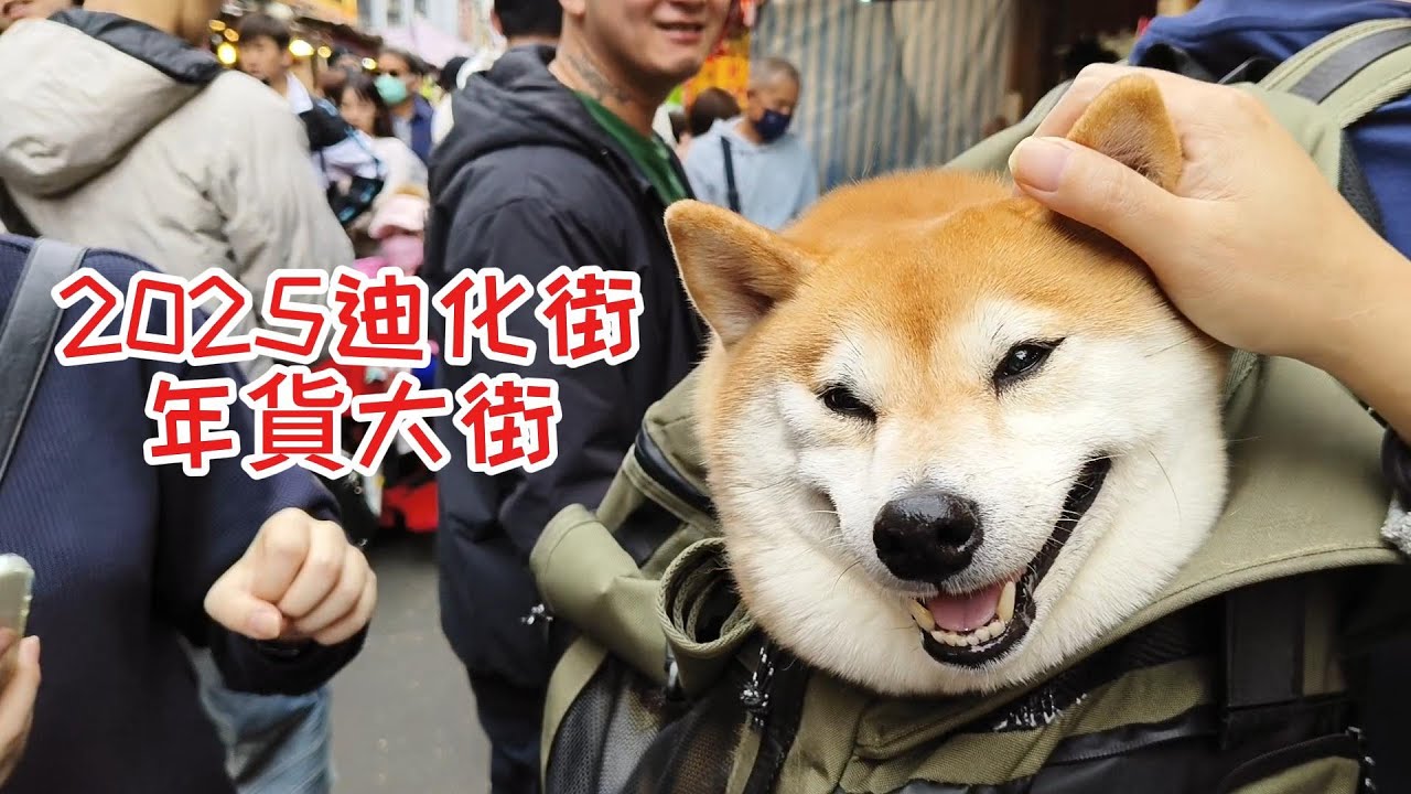 2025迪化街年貨大街｜豬豬逛大街｜迪化街十連棟｜昭和浪漫洗濯屋