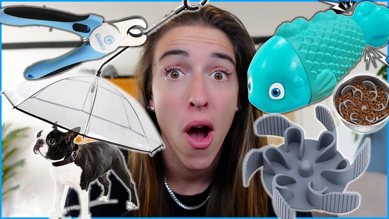 Testing New Dog Products!!!
