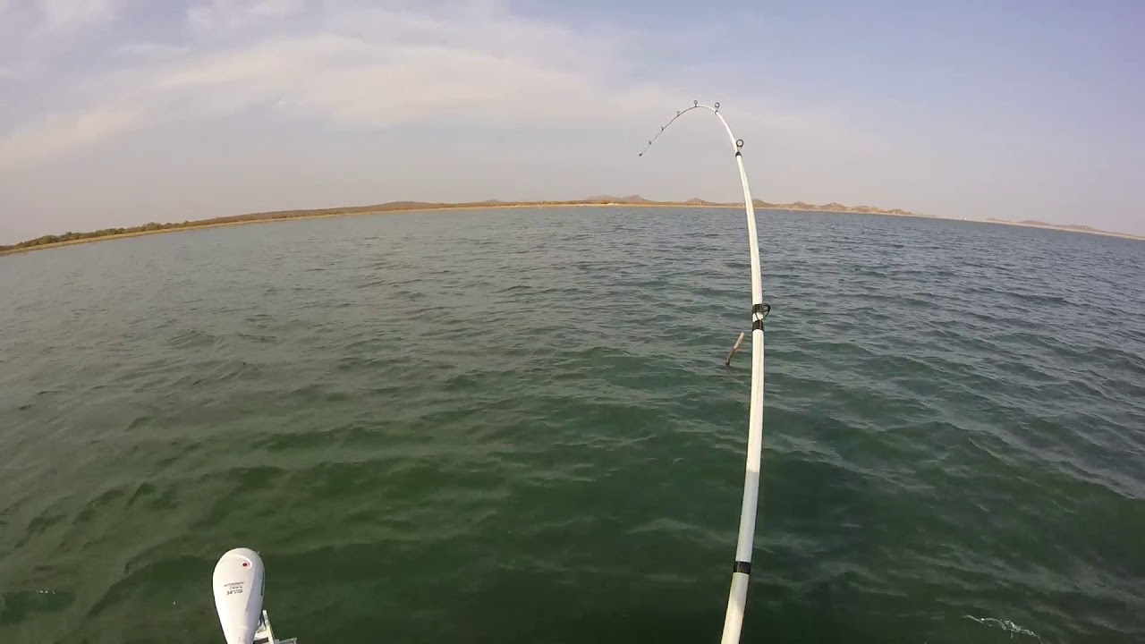 11lb Bass Letsibogo Dam