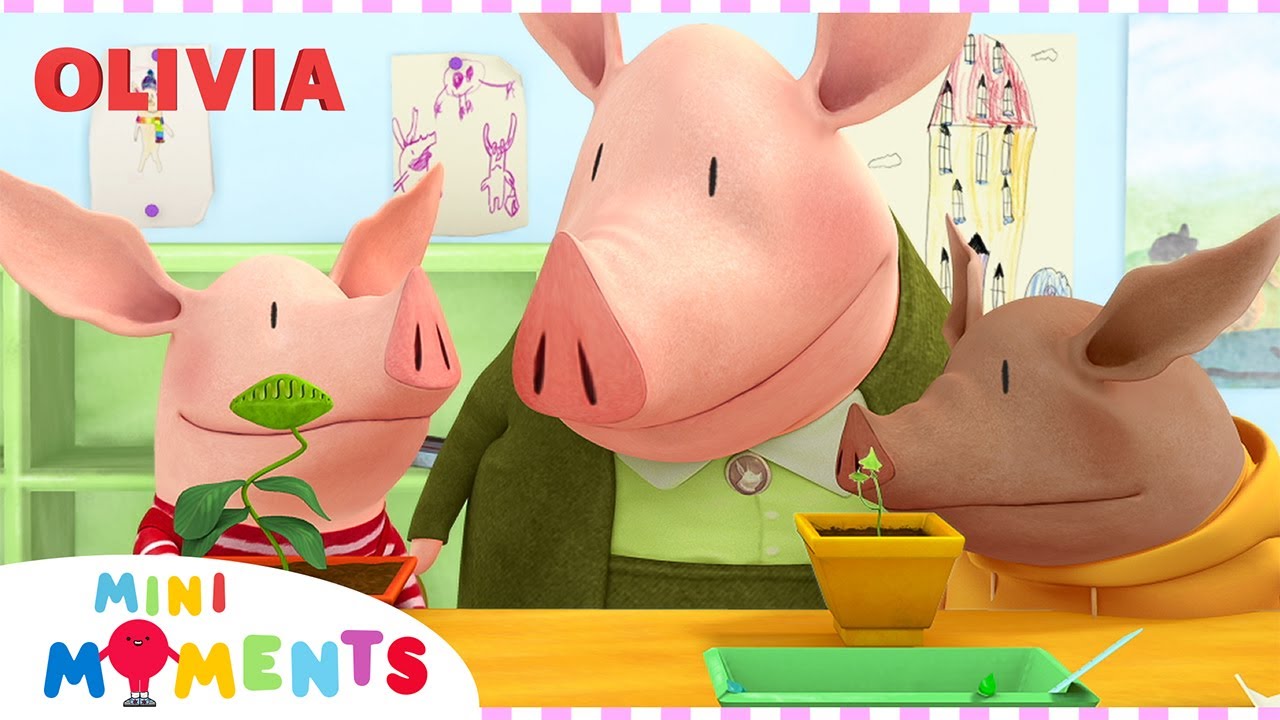 Olivia Gets Excited For Her Growing Plant!!🐷😲🪴 | Olivia | Full Episode | 1 Hour Comp | Mini Moments