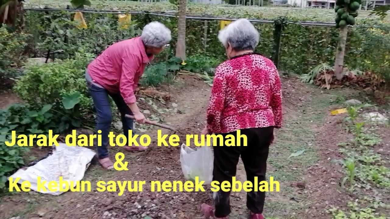 Jarak dari toko ke rumah & ke kebun nenek sebelah