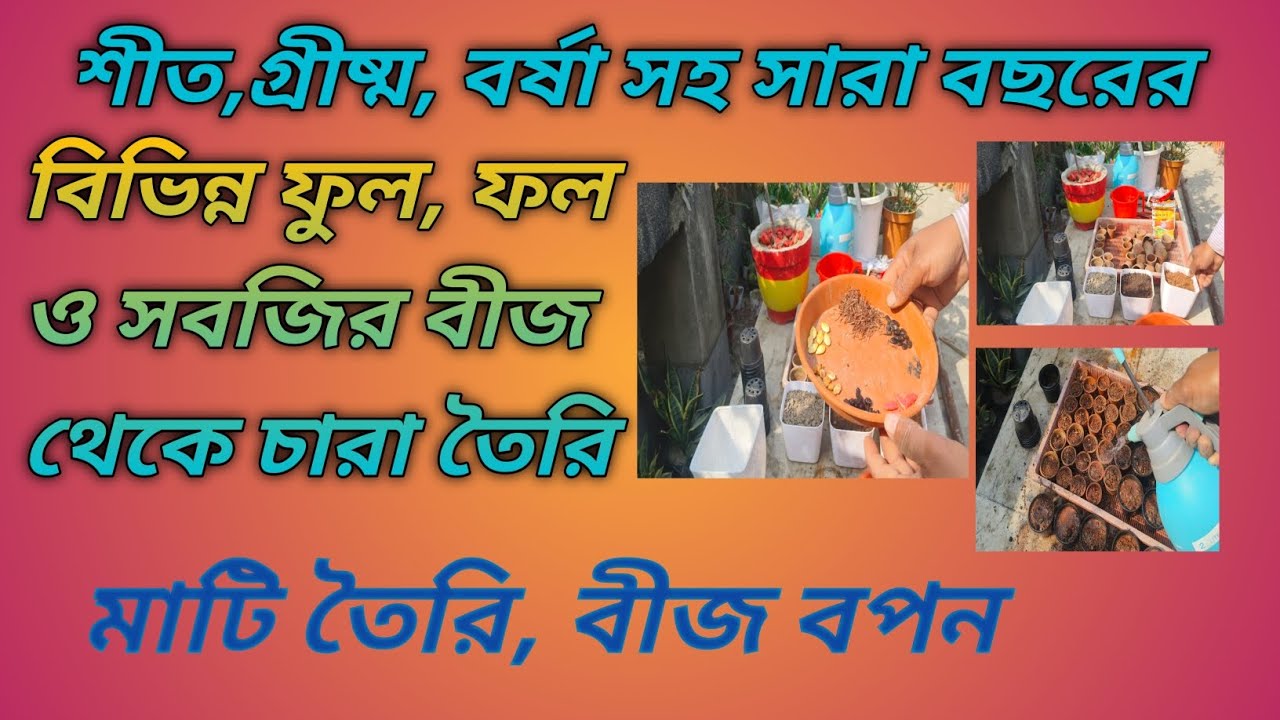 বীজ থেকে চারা তৈরির সম্পূর্ণ পদ্ধতি 