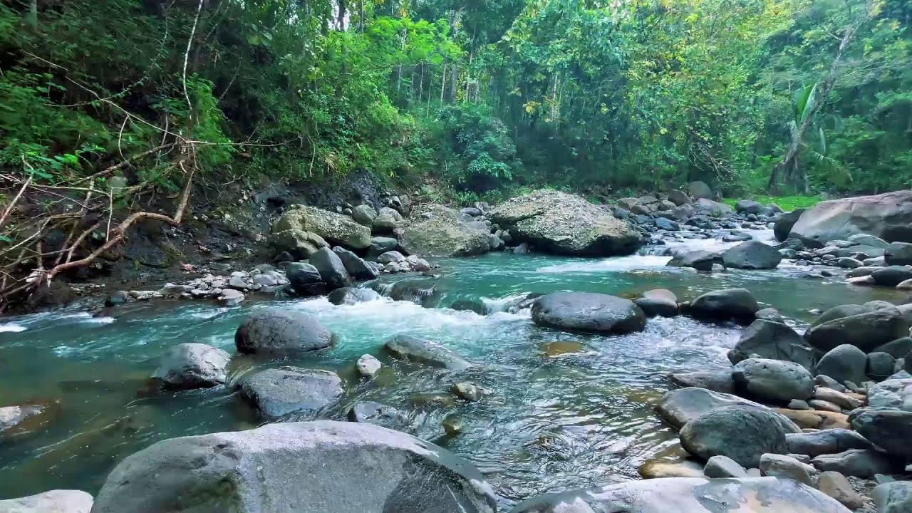 Gentle River Sounds for Sleeping, River Sounds for relaxation, Water Sounds for stress relief