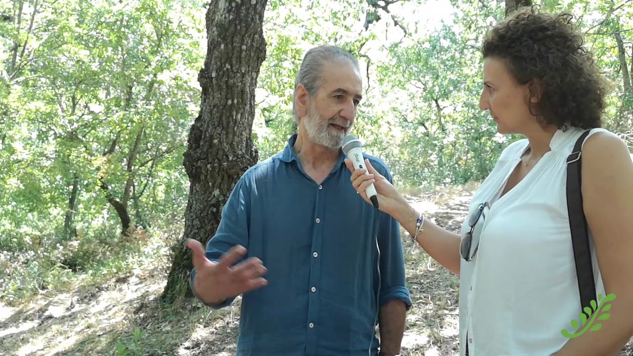 Parco della Grancia, Basilicata. Riparte il cinespettacolo La Storia Bandita