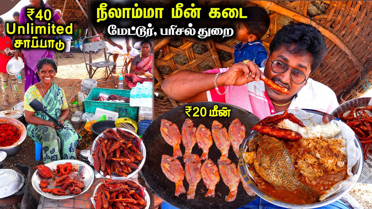 விறகு அடுப்பு மீன் குழம்பு- பொரிச்ச மீன்-25வருசம் 365நாளும்!Mettur |Salem Fish food - Meipix Tamil