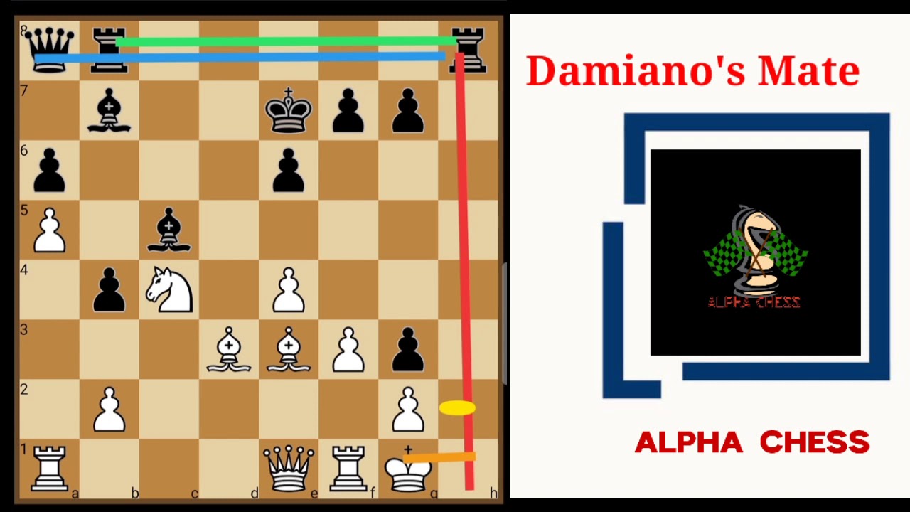 Damiano's Mate.. Sac Sac Mate