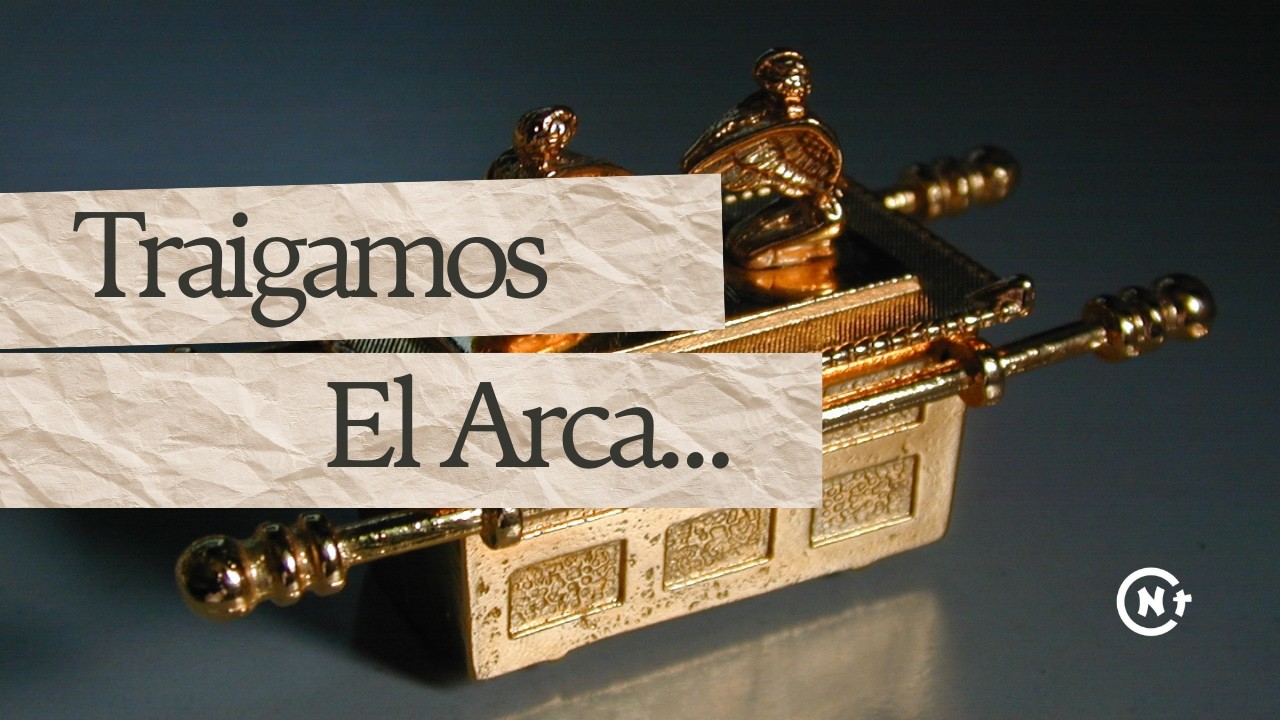 TRAIGAMOS EL ARCA.... REUNION 1 DE MARZO DE 2026