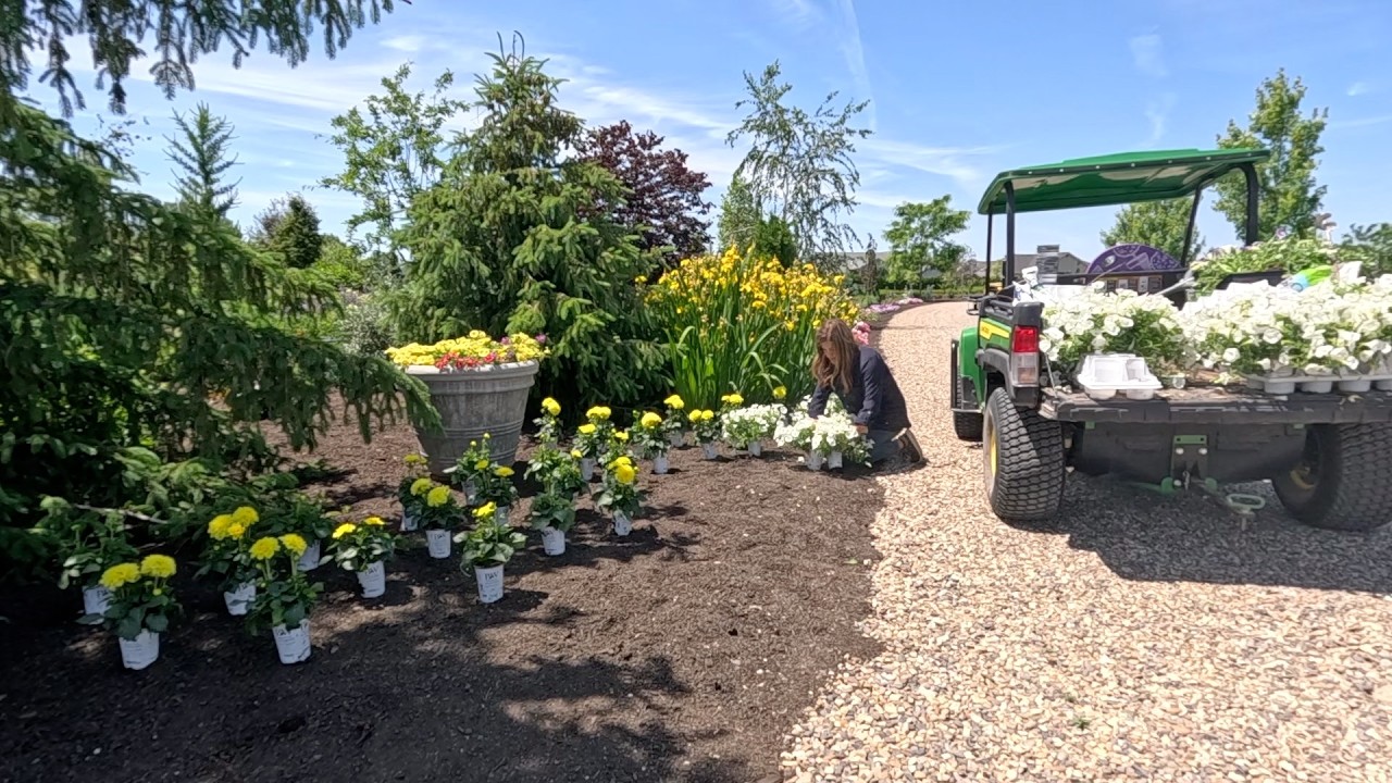 Thinning & Bagging Apples + Planting Hardy Geraniums & Colorful Annuals! 🍎🌿🌸