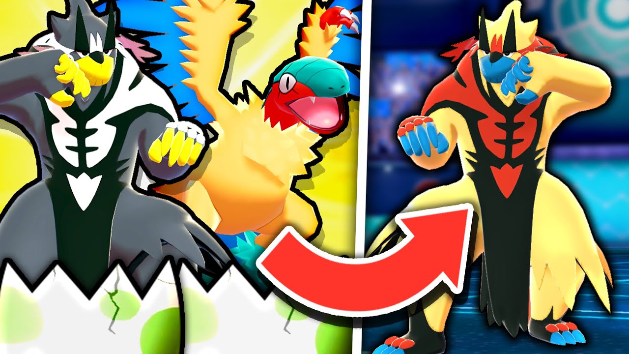 We Fused Random Pokemon Eggs Together, Then We Battle!