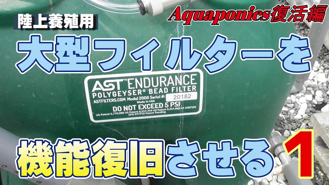 #88 アクアポニックス復活編① フィルターの機能復旧を試みる vol.1