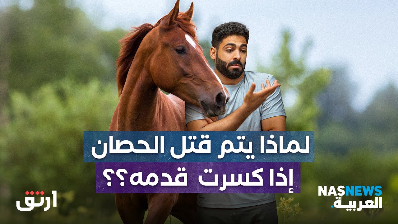 لماذا يقتل الحصان إذا كسرت قدمه؟
