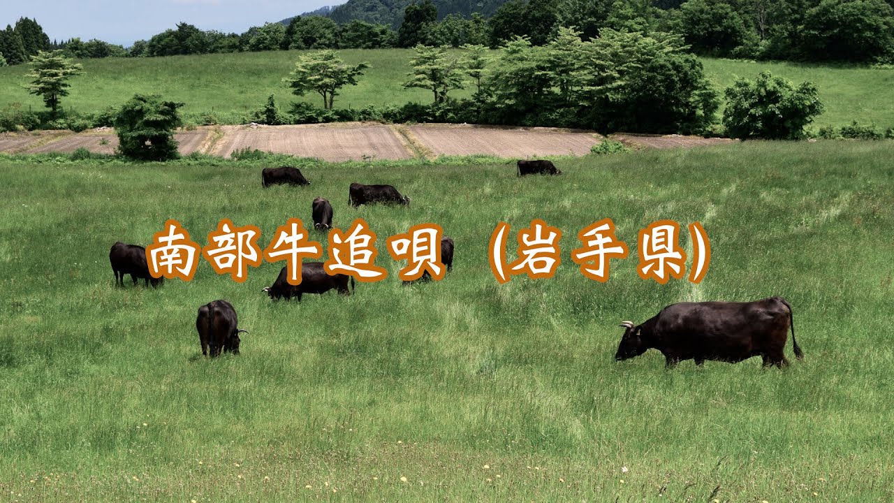 南部牛追唄（岩手県）