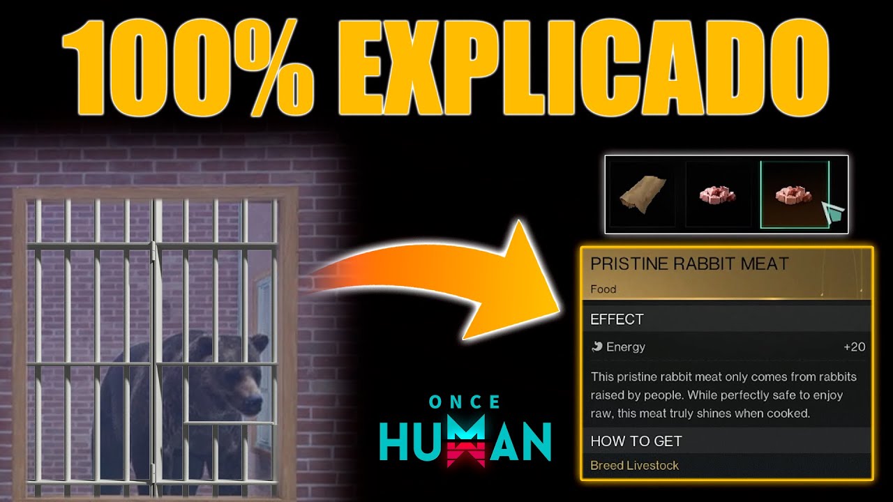 🦁Todo sobre Animales y CARNE PRISTINA | GUÍA ONCE HUMAN ESPAÑOL #oncehuman