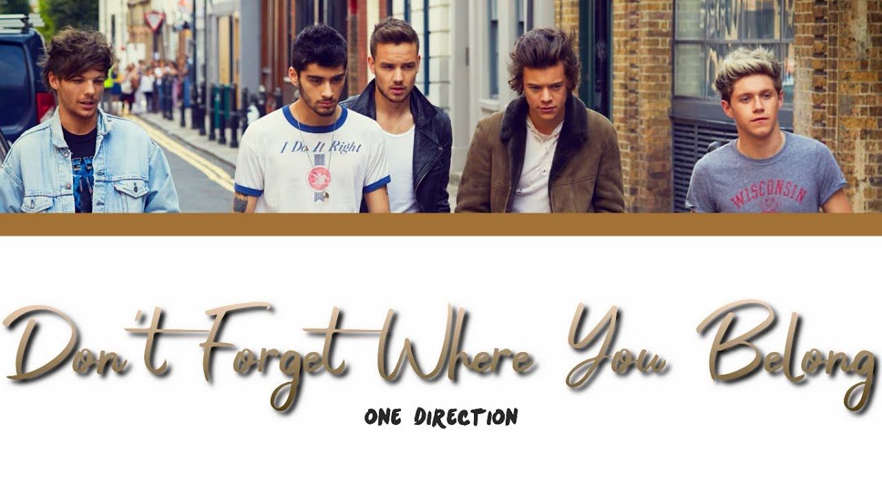ONE DIRECTION - DON'T FORGET WHERE YOU BELONG lyrics (Color Coded)