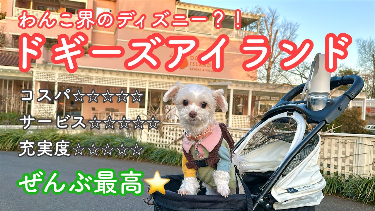 【Vlog】ドギーズアイランド最高すぎました🐶🐾