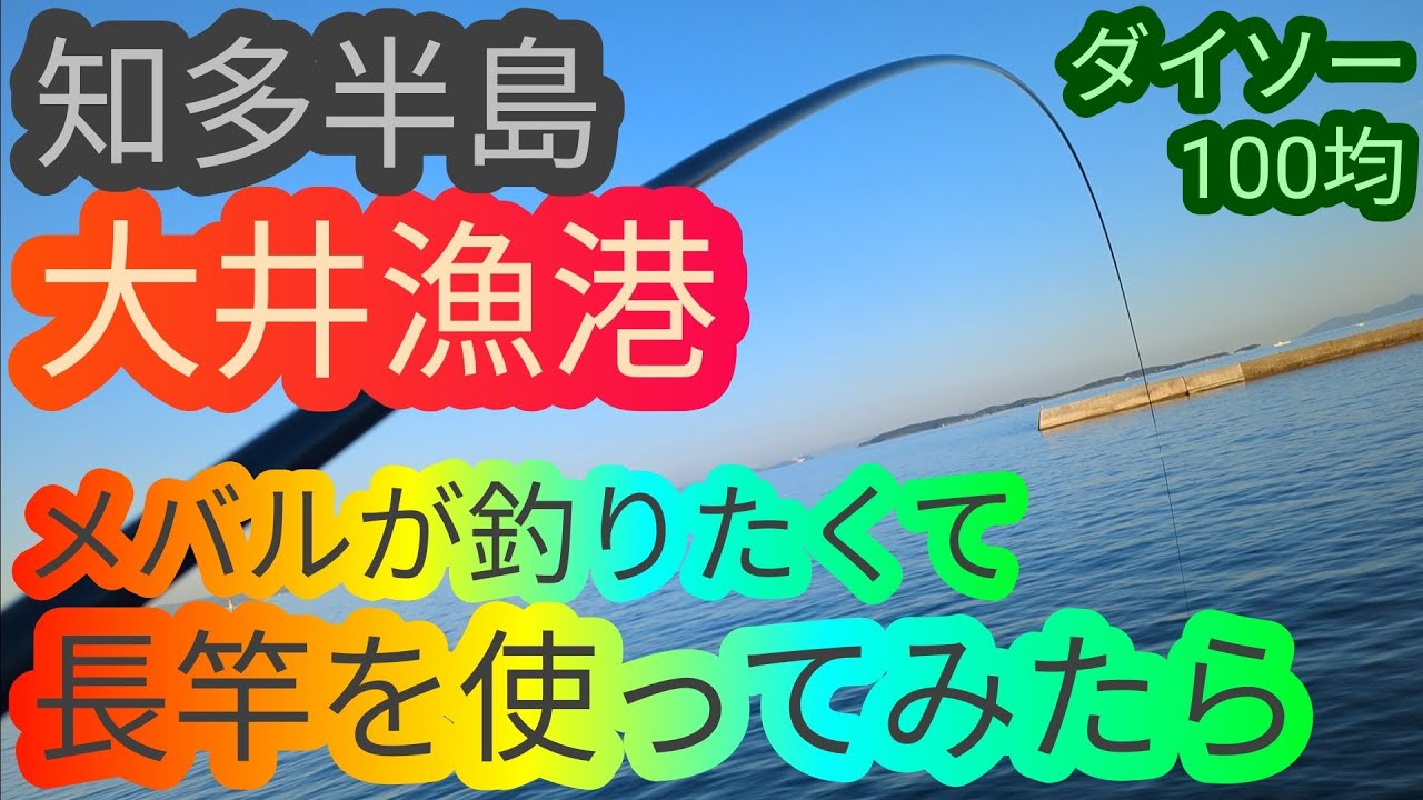 大井漁港でメバルが釣りたくて長竿を使ってみたら… 愛知県 知多半島 知多湾 海釣り fishing 100均 ダイソー ロックフィッシュ
