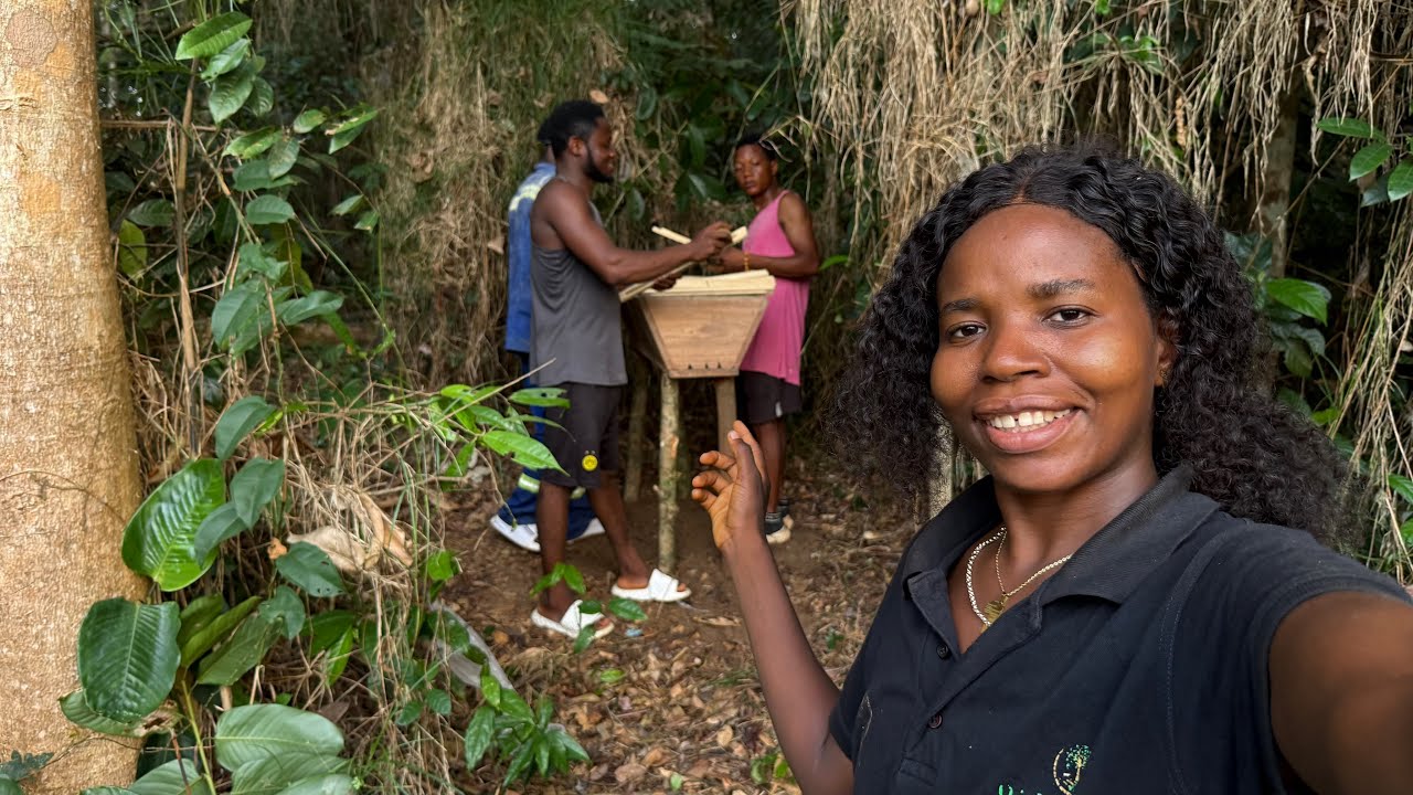 Why This Beehive Wasn’t Catching Bees (And What We Did About It)