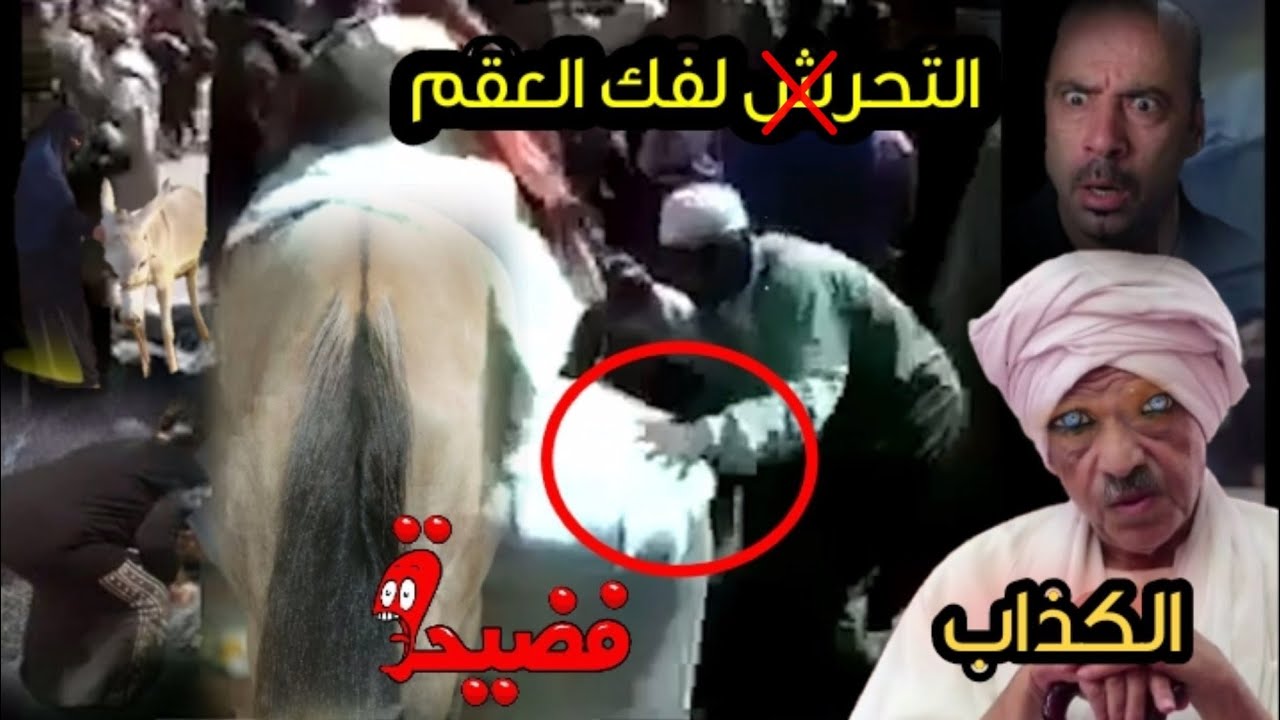 شيخ التدليس الأشعري 👈ابن تيمية يعبد صنم جالس على كرسي