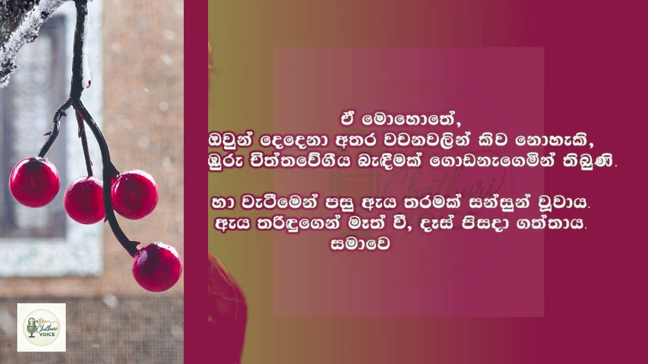 මහත්තයා නැති වෙලාවේ එයා ගෙදරට ආවා | sinhala keti katha | secret love story 08
