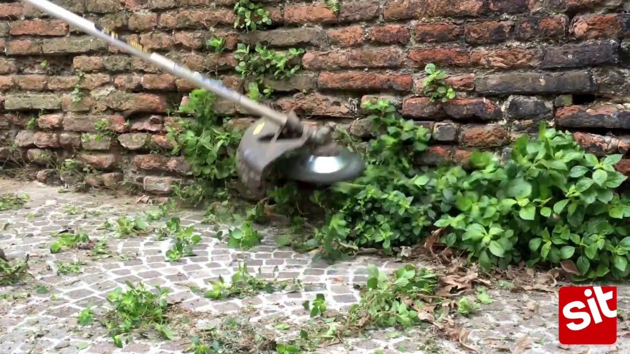 String Trimmer Brush: Clean city walls and walkways - EXTREME - SITBRUSH