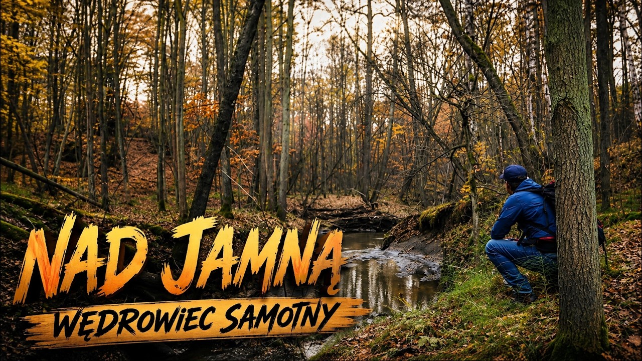 Nad rzeką Jamna | Hałda Panewnicka | Grzybowe kolory