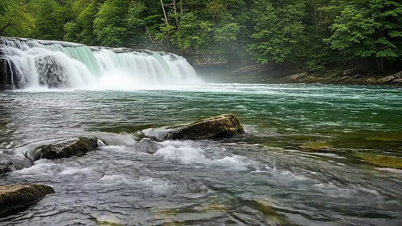 Healing Water Stream | Natural Sound for Restful Sleep and Stress Relief