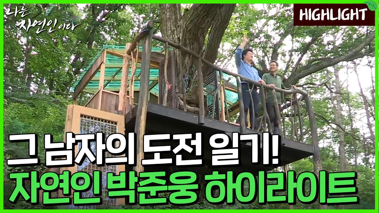 [자연인 하이라이트] 306 전직 은행원이었던 가장, 홀로 산에 들어와 트리하우스를 짓게 된 사연