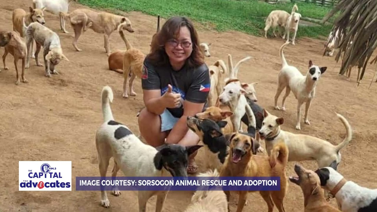 104.3 The Capital - The Advocates (Sorsogon Animal Rescue & Adoption - SARA) 11/21/25