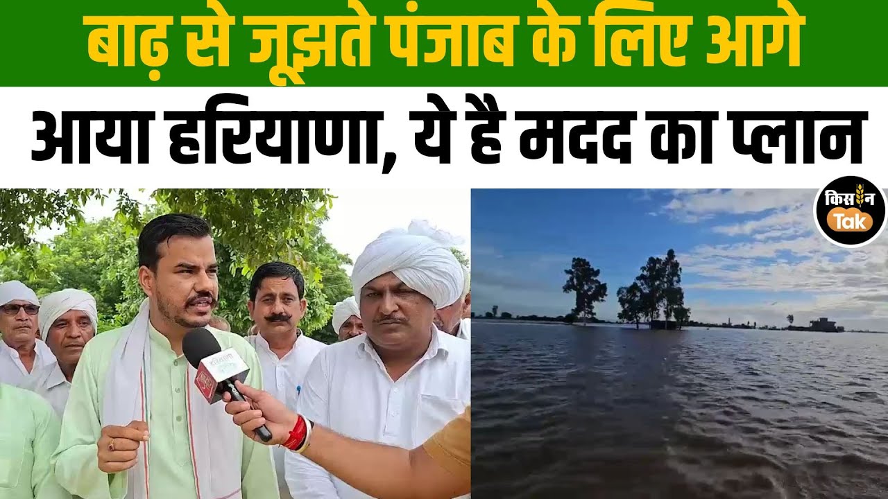 Punjab Floods: पंजाब में बाढ़ से तबाही, किसानों की मदद के लिए आगे आया हरियाणा! #punjabfloods
