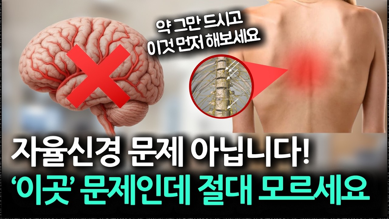 어지럼증, 심장 두근거림 달고 사는 사람들의 공통점 (당장 '이곳' 순환부터 확인하세요)