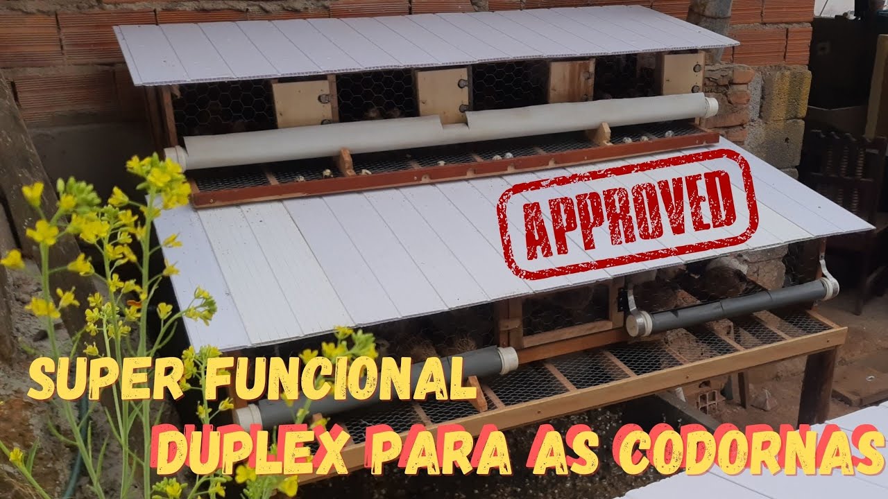 Construindo Casinha DUPLEX para as Codornas GAIOLA Passo a Passo ! #rural @TILAPIAMinhaVida