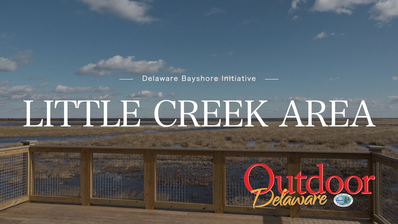Little Creek Area - Delaware Bayshore Initiative