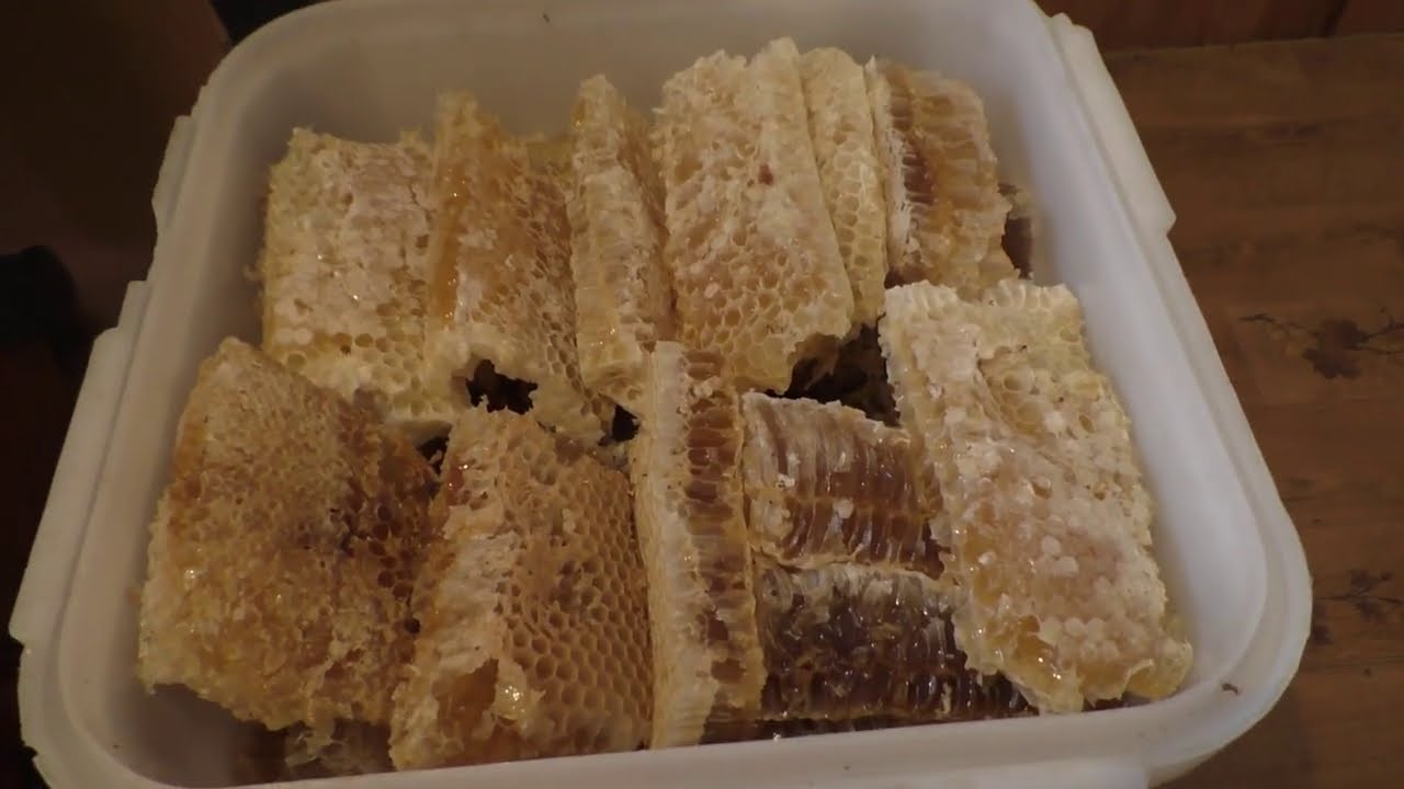 ПРОДУКТЫ ПЧЕЛОВОДСТВА ПРИРОДНАЯ АПТЕКА