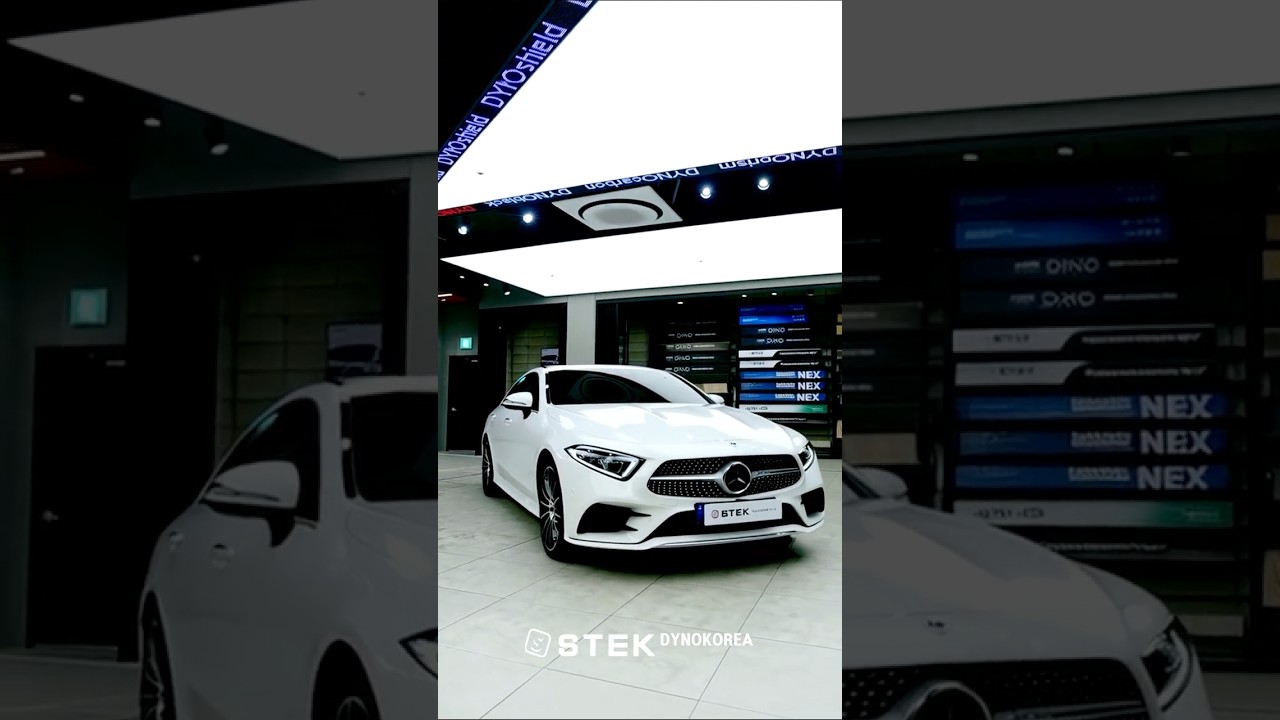 벤츠 CLS 450 STEK 다이노 PPF 인스톨 #stek